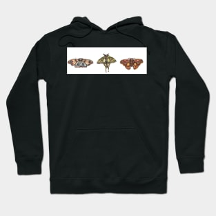 Moth Collection Hoodie